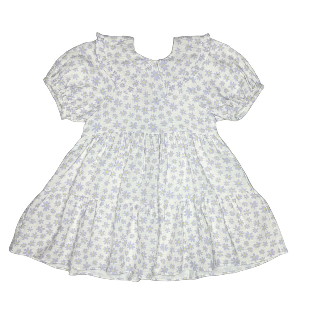 Zara Daisy Collared Dress